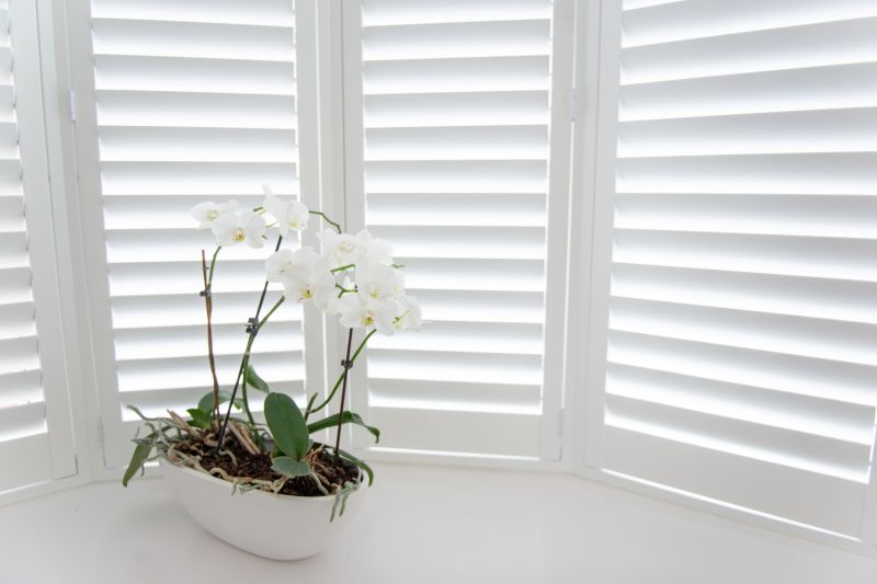 Window Shutters Replacement in Boulder, CO