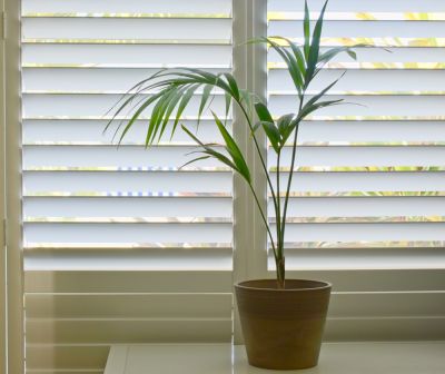 Improve the Appearance of Your Shutters